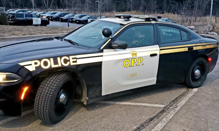 OPP Investigating Damage at Adam Wallace Park in Boton