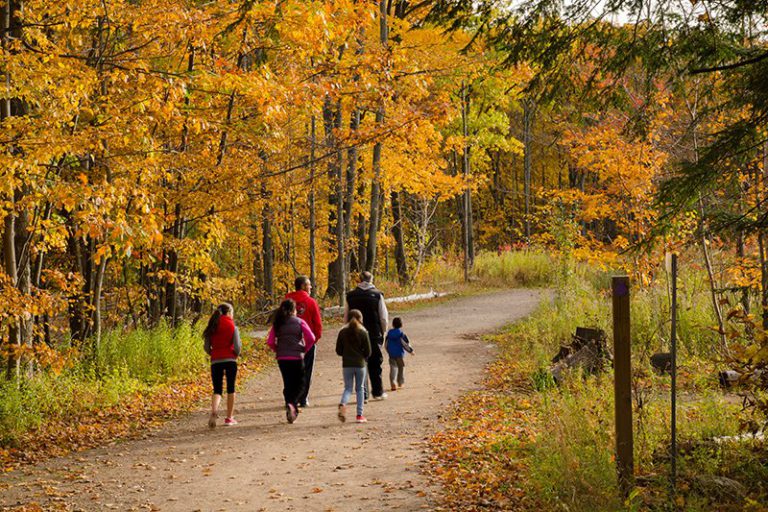 Explore Fall Colours Responsibly at Credit Valley Parks