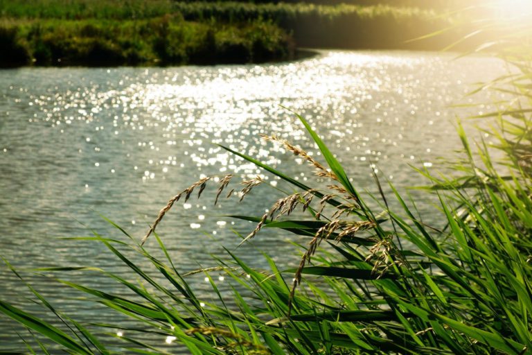 Credit River Conservation Warning Of Possible High Water Levels