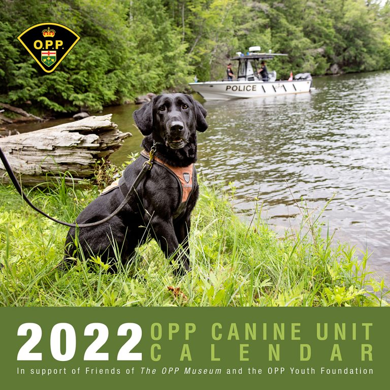 OPP Canines Strike a Pose for a ‘Paw’some Cause
