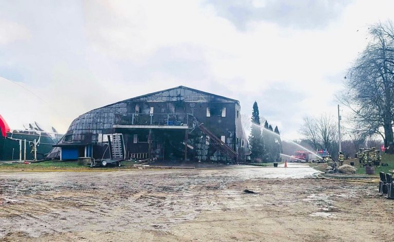 Over 20 Horses Saved During Caledon Barn Fire