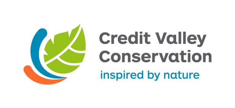 CVC Board of Directors Announces New CAO