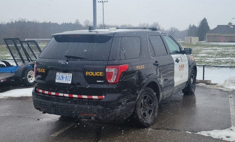 Two Arrested After Fleeing Vehicle Strikes Cruisers, Nearly Hits Officers