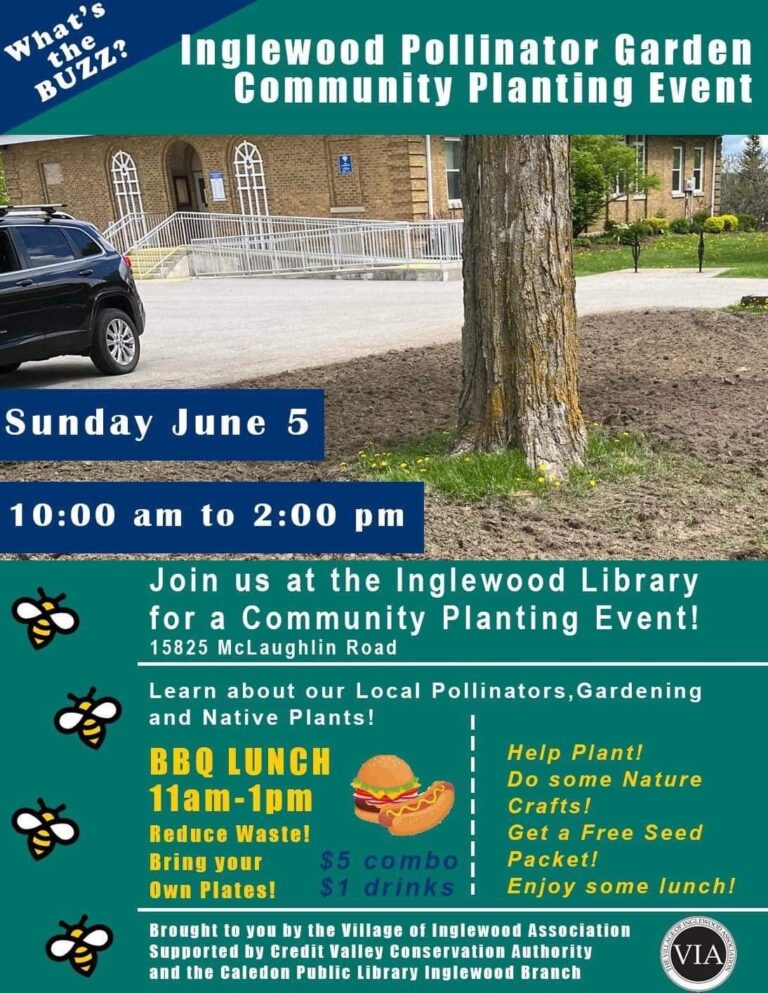 Join In! Inglewood Pollinator Garden Community Planting Event!