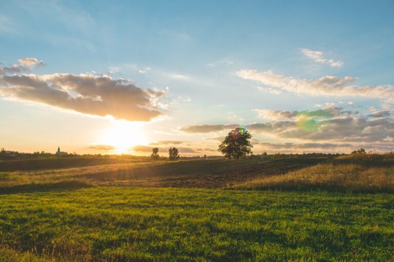 Dufferin-Caledon Provincial Election Candidates Respond: Loss of Farmland