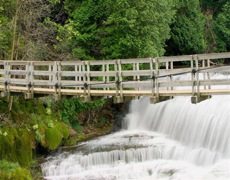 Belfountain Conservation Area Set to Re-open After Major Restoration Work