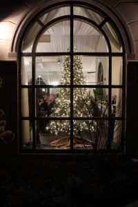 Christmas tree in window