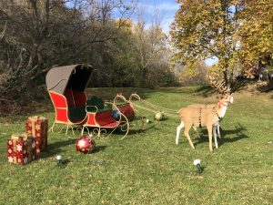 Reindeer and Sleigh at The Sisters