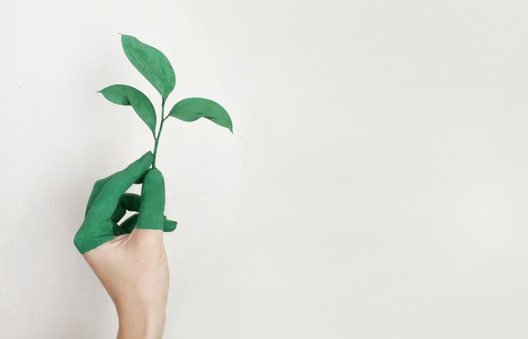 ecoCaledon’s Environmental New Years Resolutions