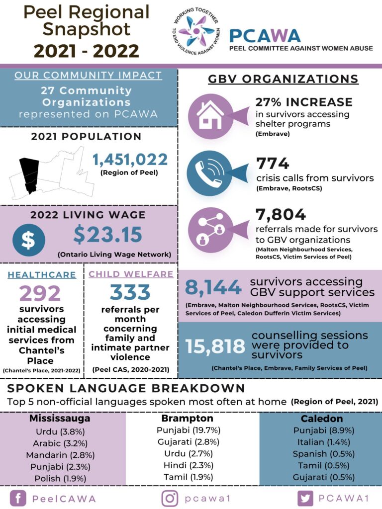 Peel Committee Against Women Abuse Releases First Regional Snapshot