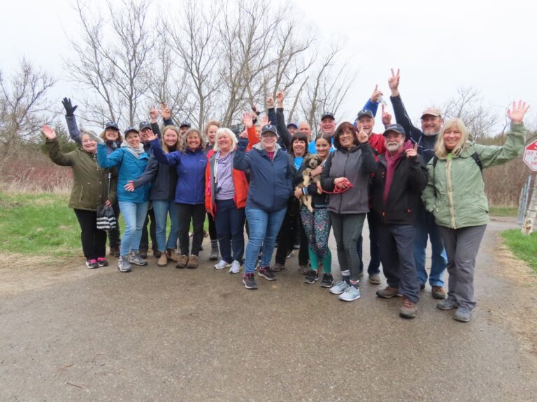 Anita Schenk: Giving Back To Community Through Bethell Hospice