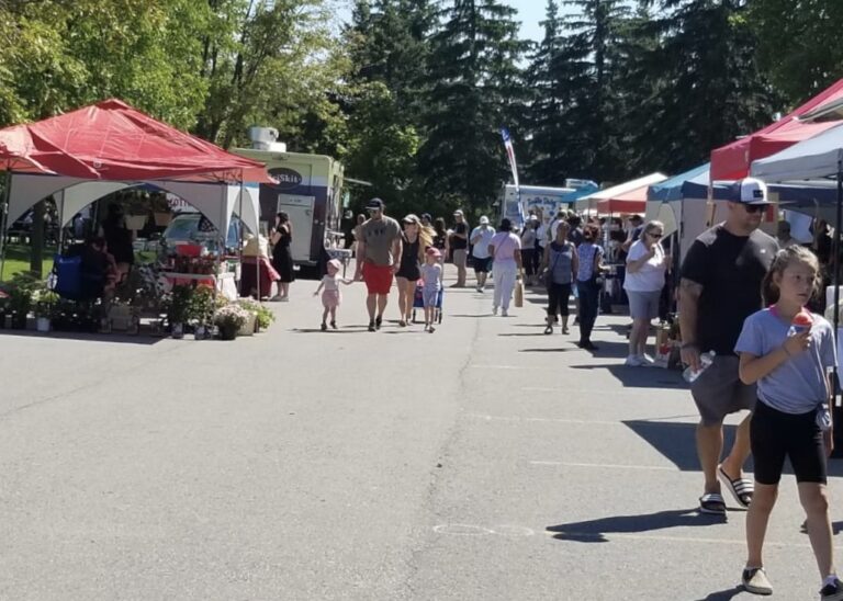 Valleywood Volunteers: Creative, Connected, Community-minded