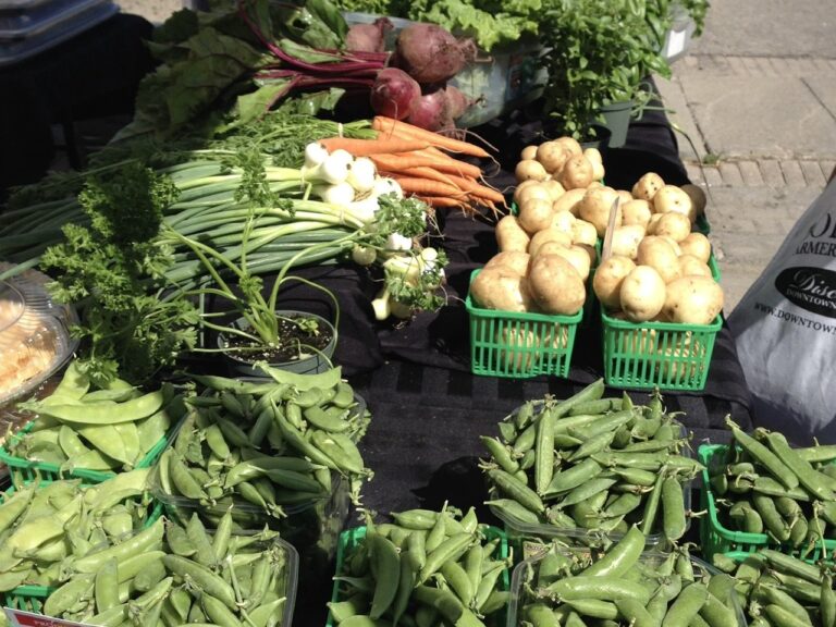 The Grown in Peel Local Food Guide is Back!