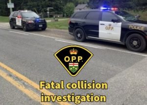 OPPcruisers on roadway