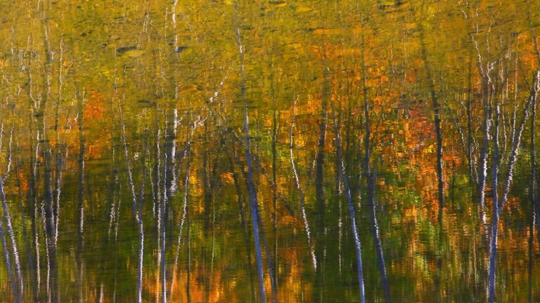 Caledon Photographer Gary Hall: Nature’s Paintbrush