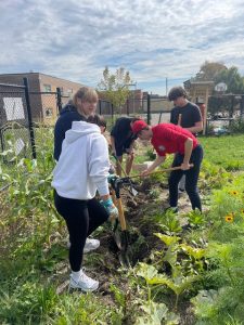 Students digging