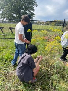 Students gardening