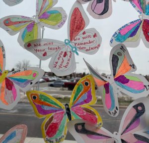 Butterflies on window