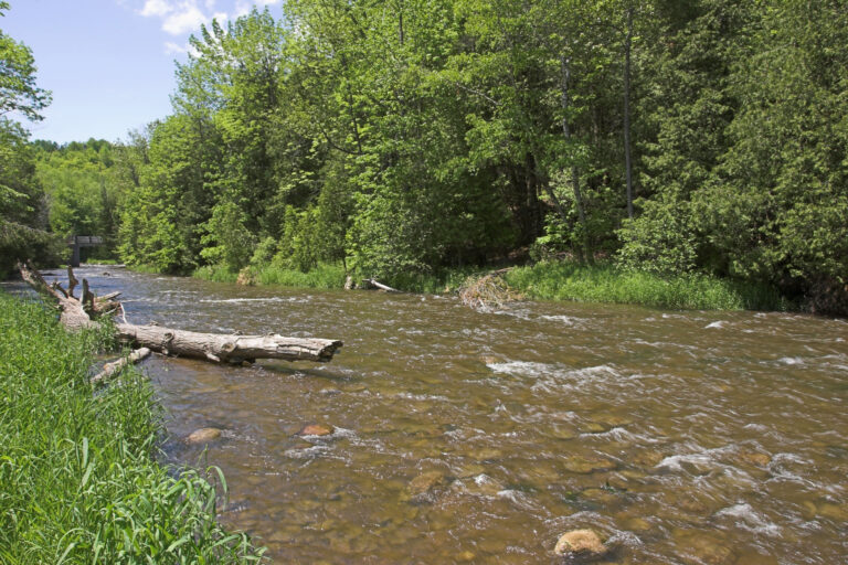 Credit Valley Conservation issues flood watch for Orangeville area