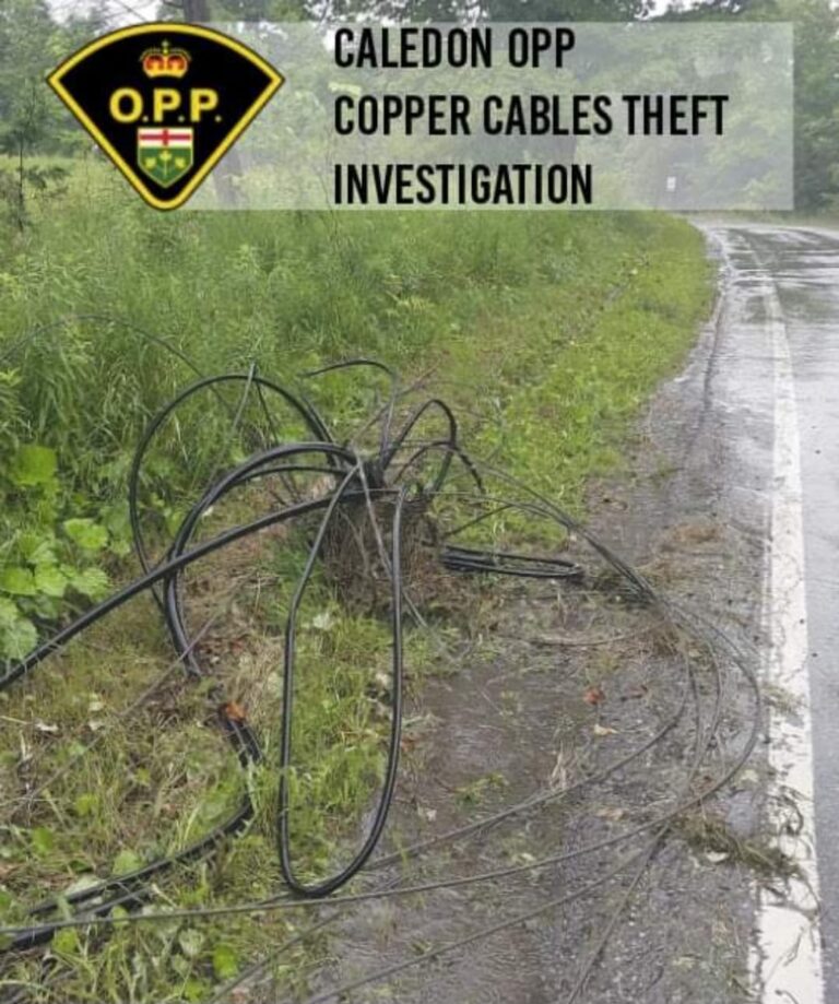 Provincial police looking into cable thefts