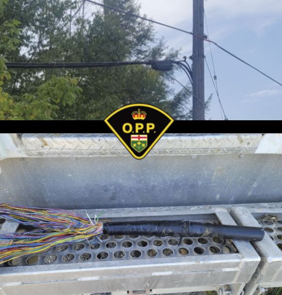Copper thieves targeting telephone wires in Caledon