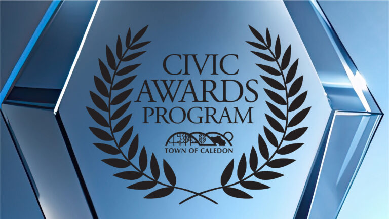 Town looking for award nominees
