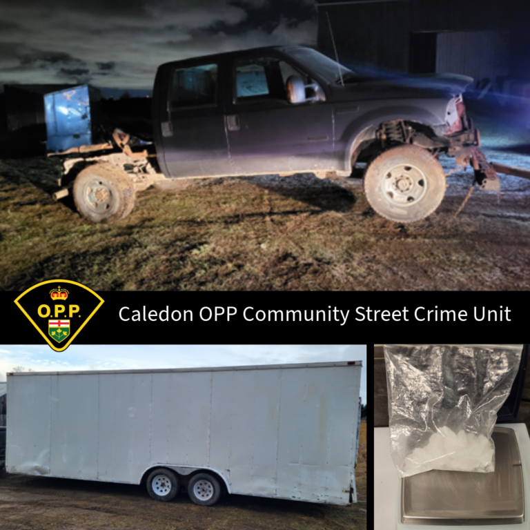 Stolen vehicle investigation leads to arrest