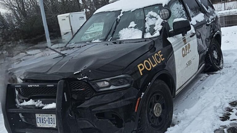 Public complaint results in multiple charges for Orangeville man