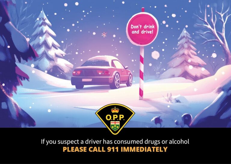 Police plead with motorists to drive sober