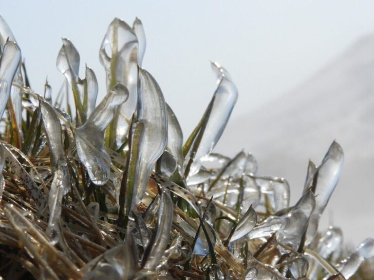 Freezing rain likely today