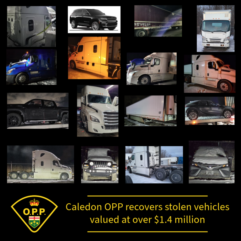 Large quantity of stolen vehicles found in Caledon