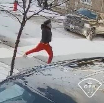 Police offer online shopping tips after theft of tablet