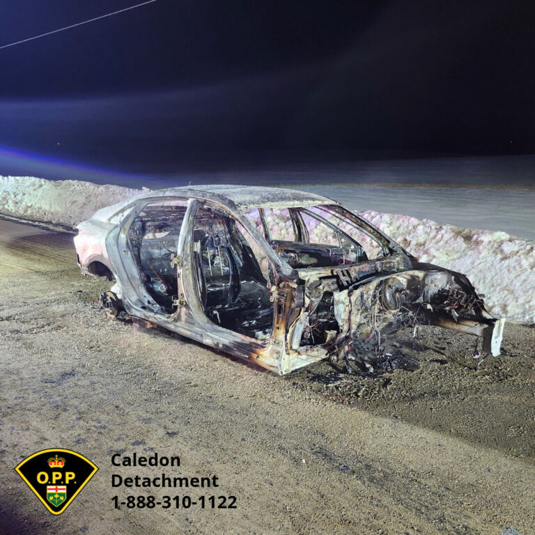 Police looking for help with alleged arson