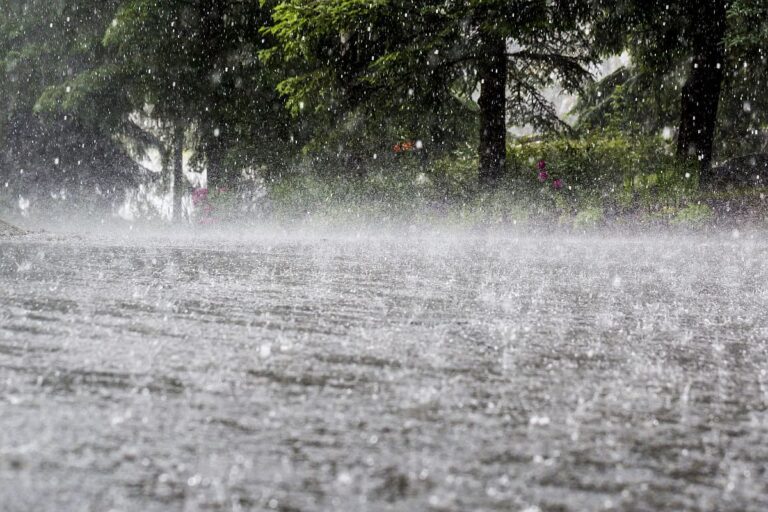 Plenty of rain forecast for the weekend